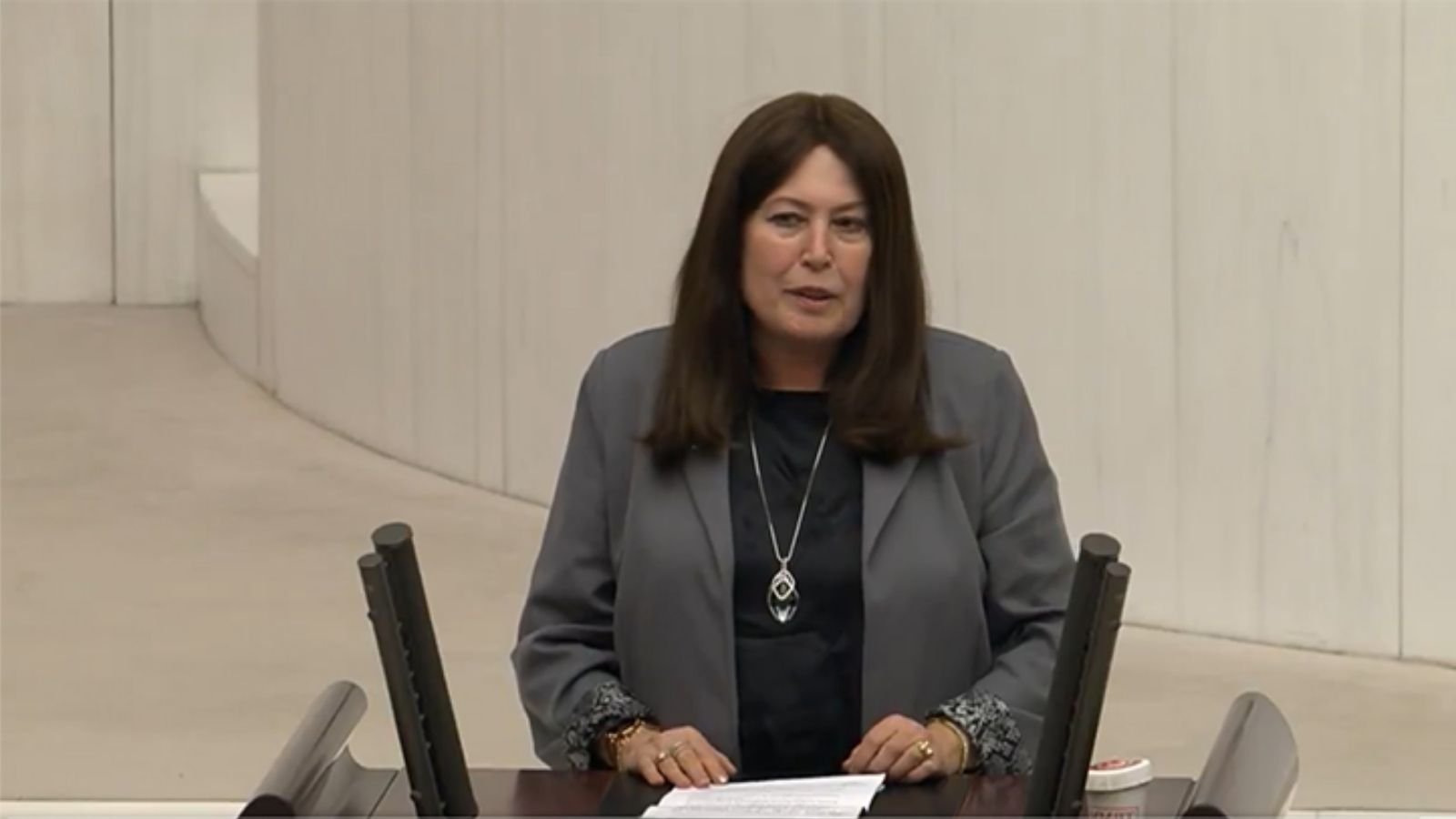 Şenol Sunat imzalı soru önergesinin sayfalarında Türkiye’deki vize sorunları ve aracı kuruluşlara ilişkin sorular yer alıyor.
