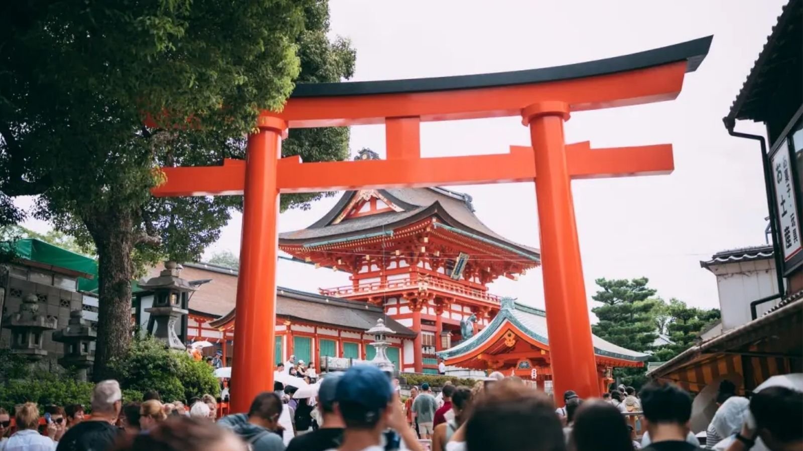 JNTO’nun Haziran 2026 Japonya ziyaretçi sayıları tablosu