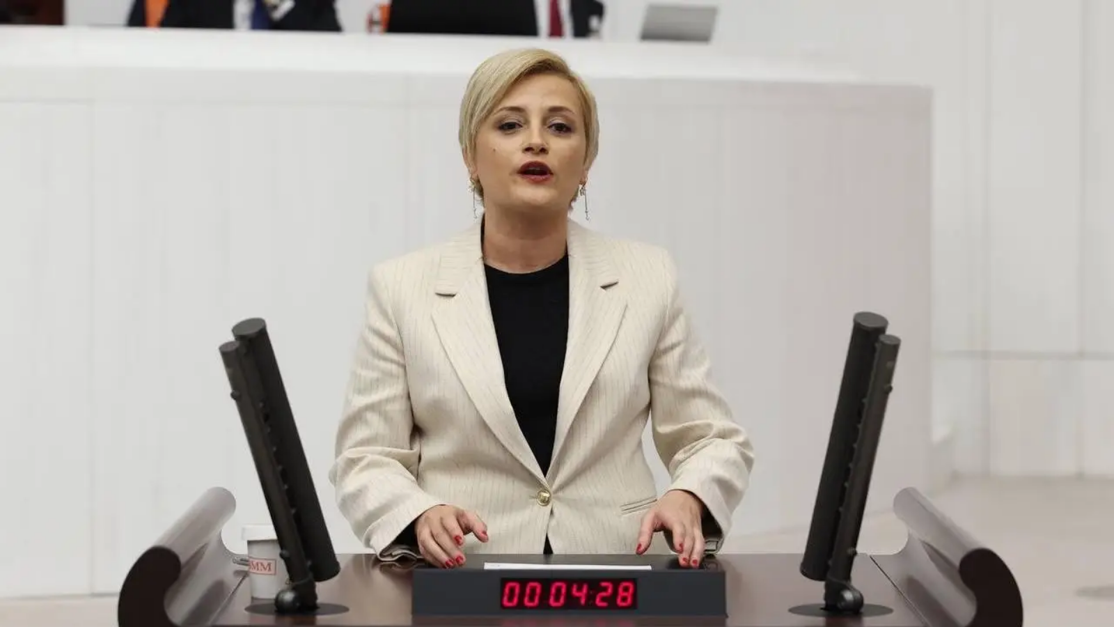 Perihan Koca: Sel felaketi yalnızca iklim değişikliğiyle açıklanamaz