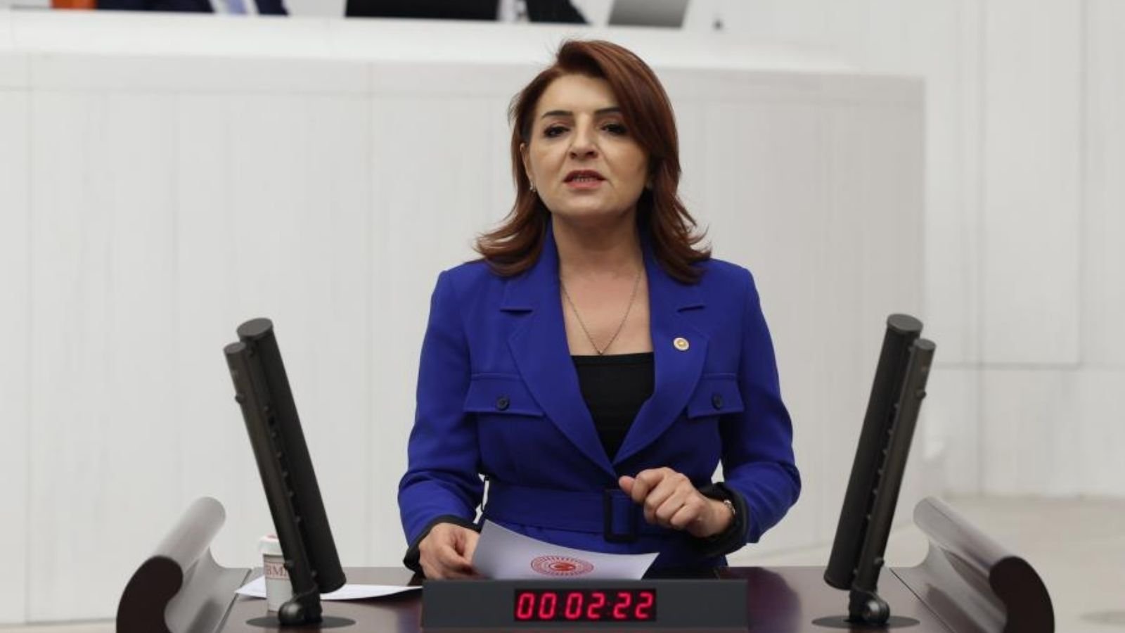 Tarsus kıyısındaki turizm tahsisleri Ersoy’a soruldu: Kaçı faaliyete geçti?