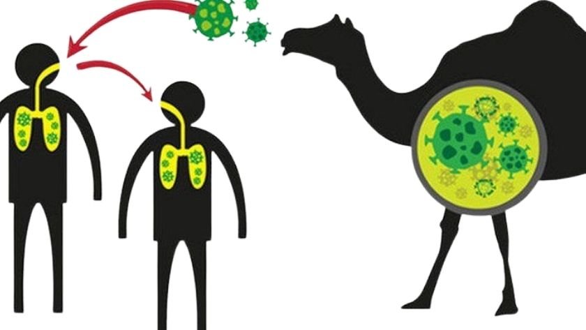 MERS-CoV