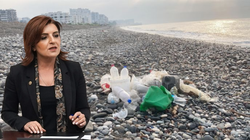Mersin deniz kirliliği