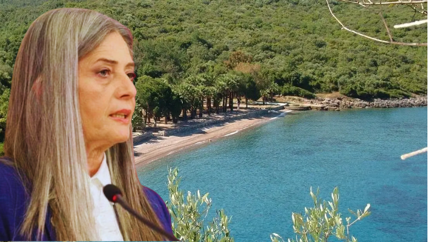 Kıyı orman tahsisi