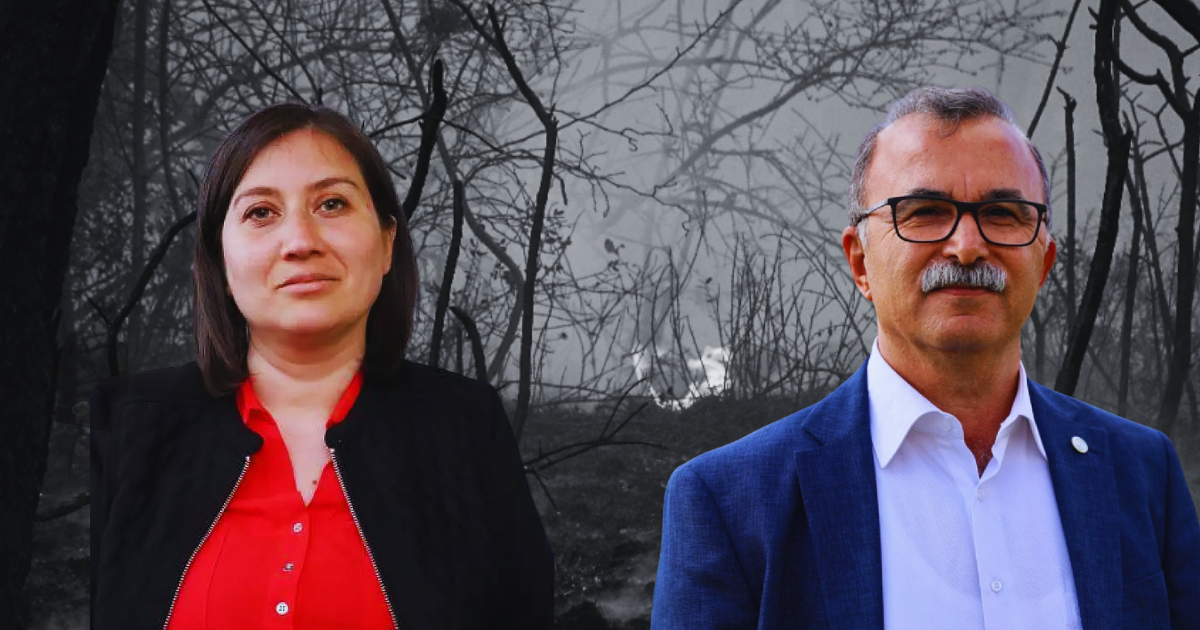 Orman kanununda değişiklik için kanun teklifi