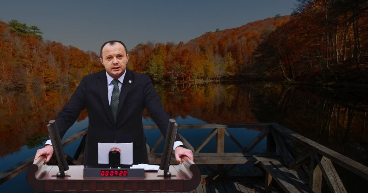 Abant ve Yedigöller yolu