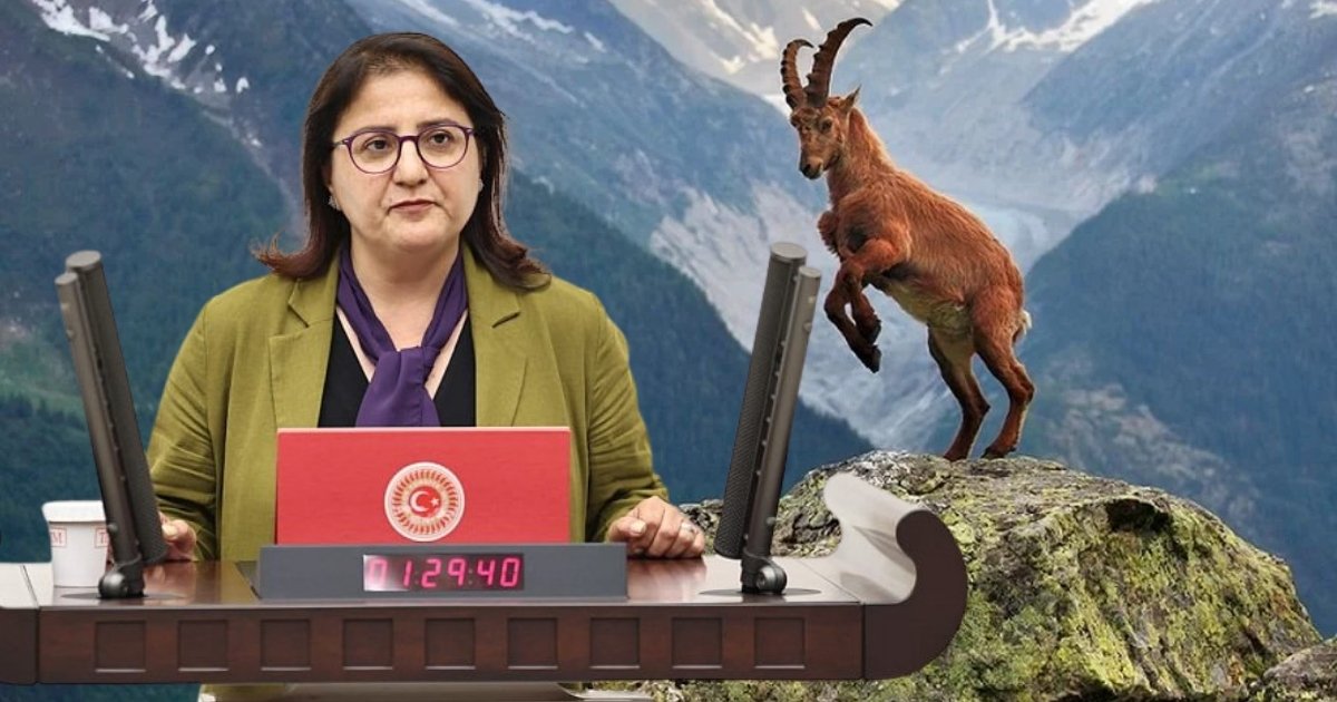 Dersim avcılık tepkisi