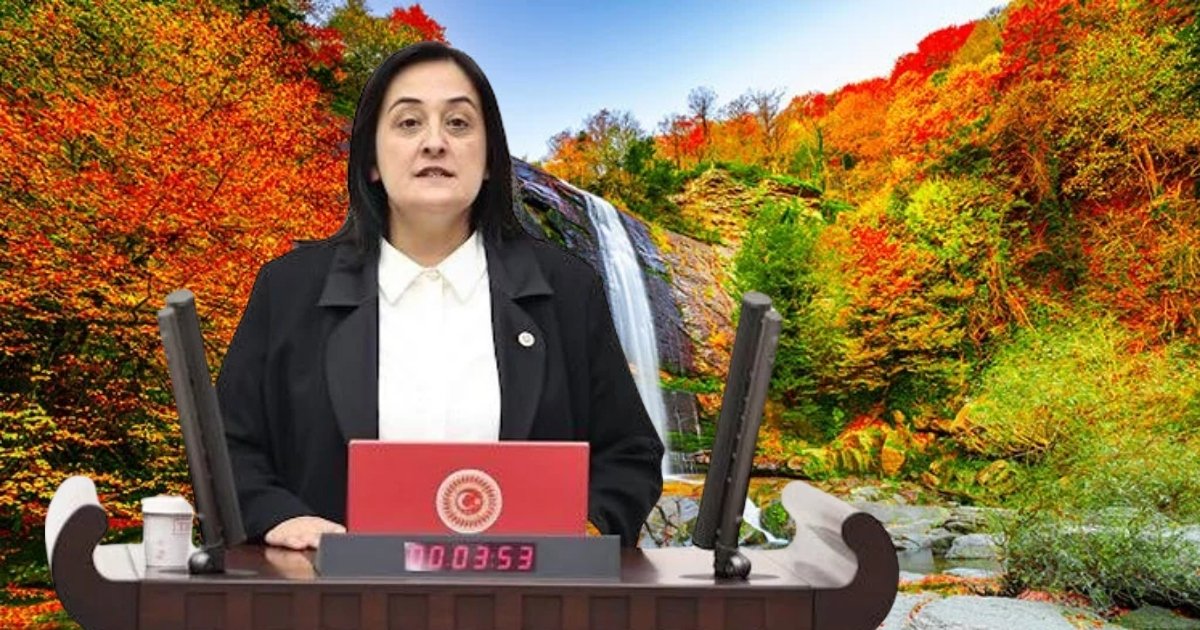 Emel Gözükar Durmaz Uludağ Alan Başkanlığı