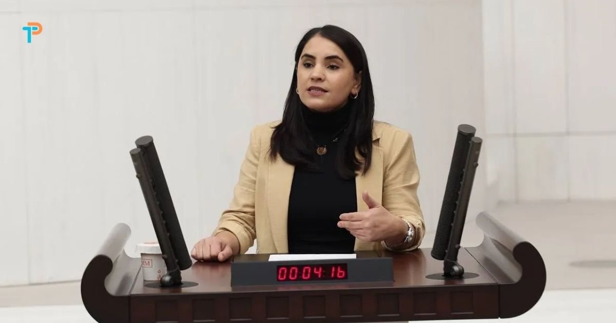 Nerdüş Barajı kültürel mirası tehdit ediyor