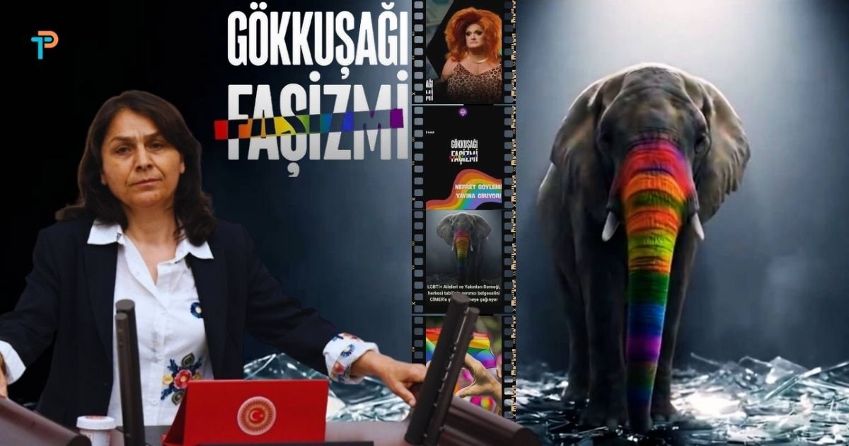 Gökkuşağı Faşizmi TBMM gündeminde