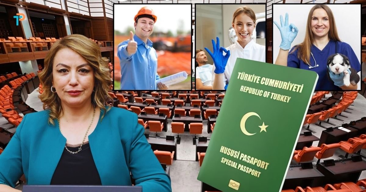 Diş hekimi, Veteriner ve Mimarlara Yeşil Pasaport